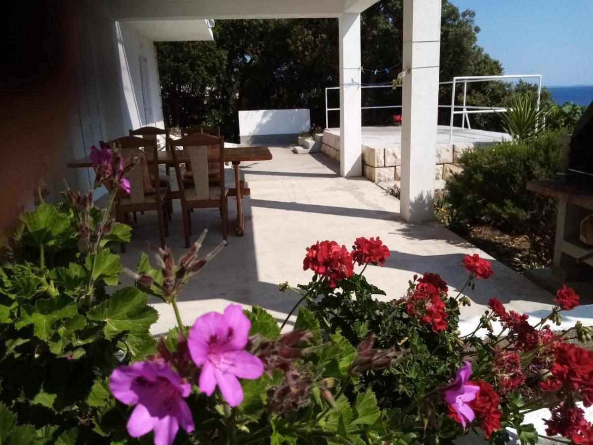 Apartman Laus Zavalatica Exterior foto
